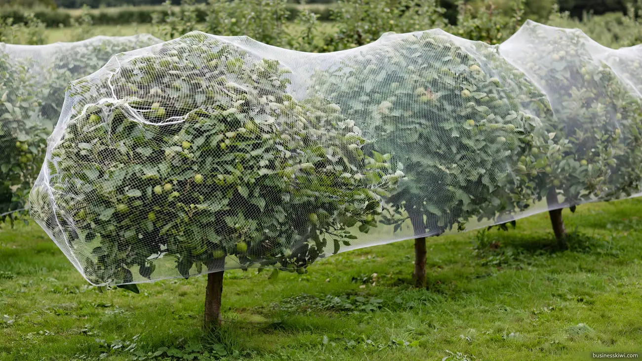 Bird netting over fruit trees