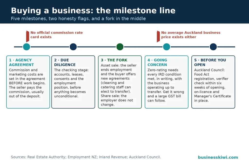 Milestone timeline for buying a business: agency agreement with the seller paying commission, due diligence, the asset versus share sale fork for employment, going concern conditions in writing, and Council registrations before opening, with flags that no official commission rate card and no average Auckland business price exist