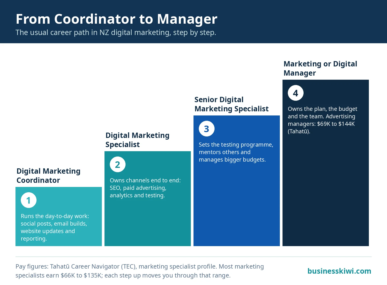Infographic showing the four-step career path from digital marketing coordinator to specialist, senior specialist and marketing or digital manager, businesskiwi.com