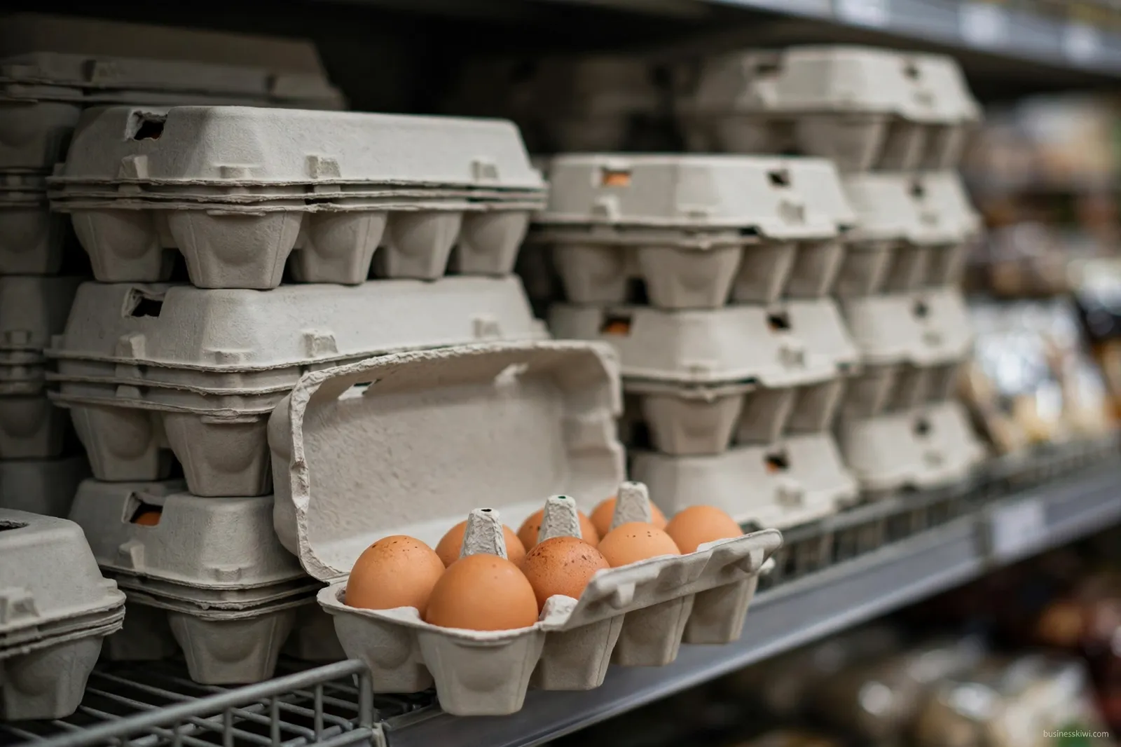 Egg cartons on a shelf