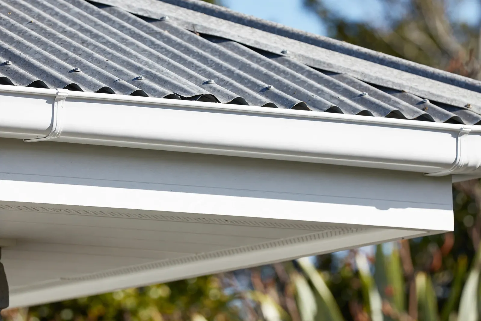 A white fascia board and spouting under a corrugated iron roof edge
