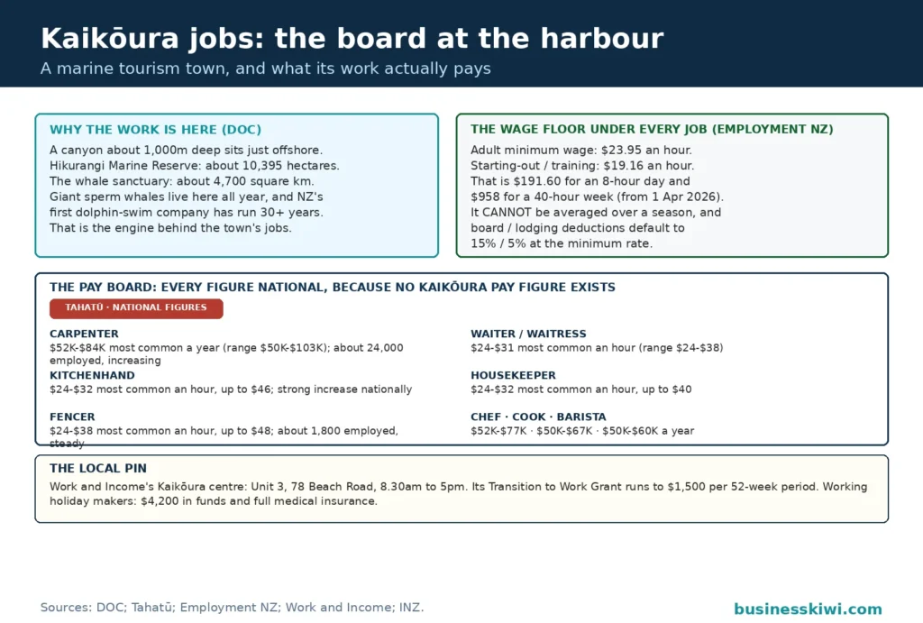 Kaikōura harbour jobs board: the marine setting that creates the work with the canyon, marine reserve and whale sanctuary, the wage floor card with the minimum wage by hour, day and week, the pay board with every figure stamped as a national Tahatū figure because no Kaikōura pay figure exists, and the local pin for the Work and Income centre on Beach Road
