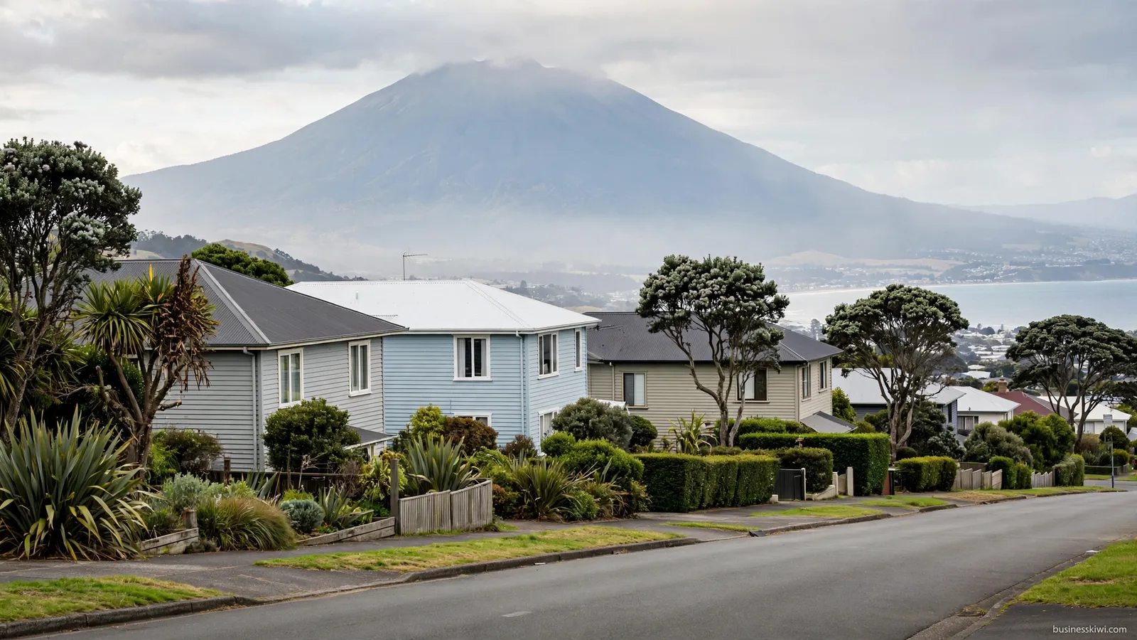 Homes in New Plymouth