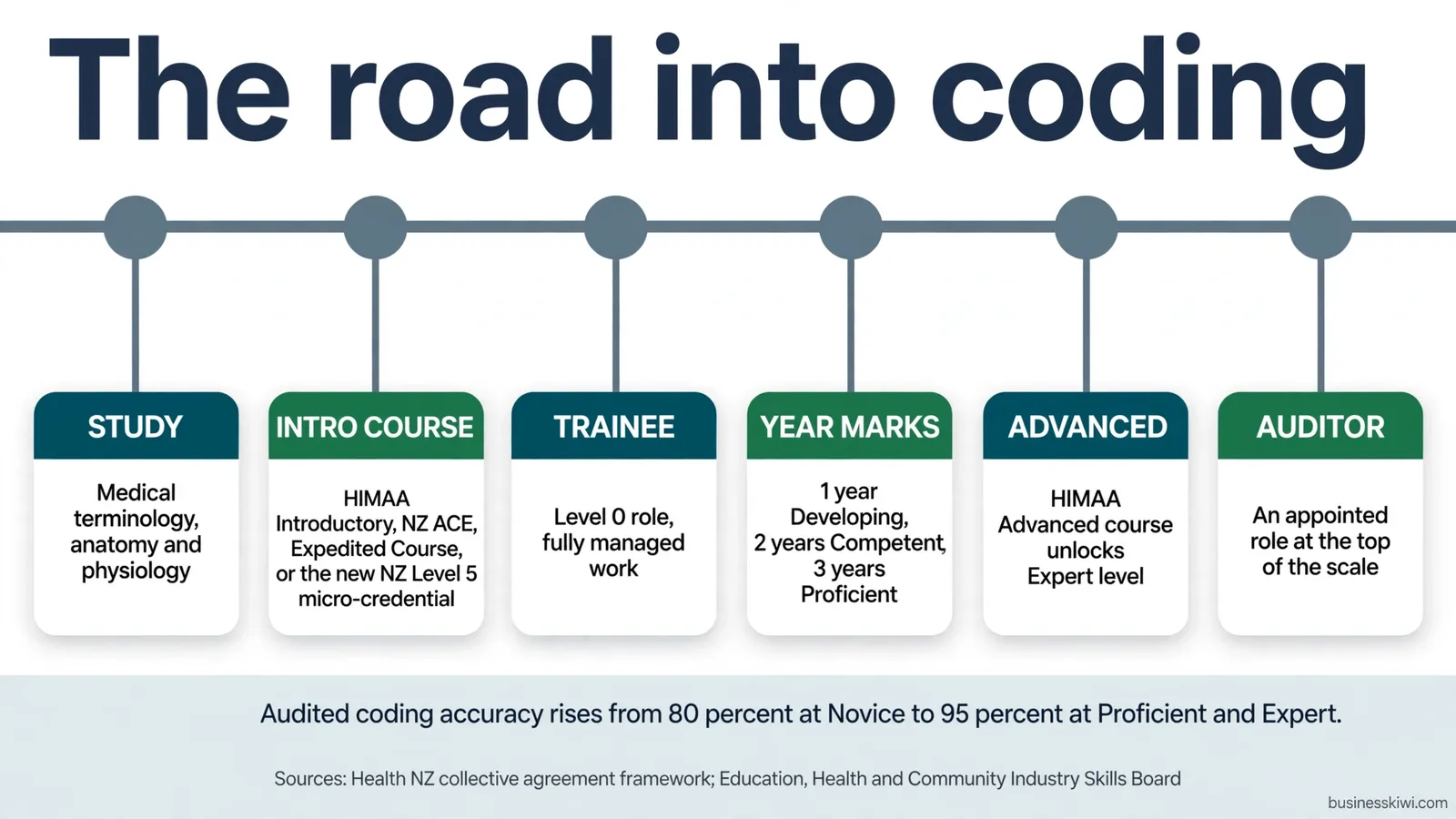 The road into coding: study, introductory course, trainee role, year marks, advanced course, auditor