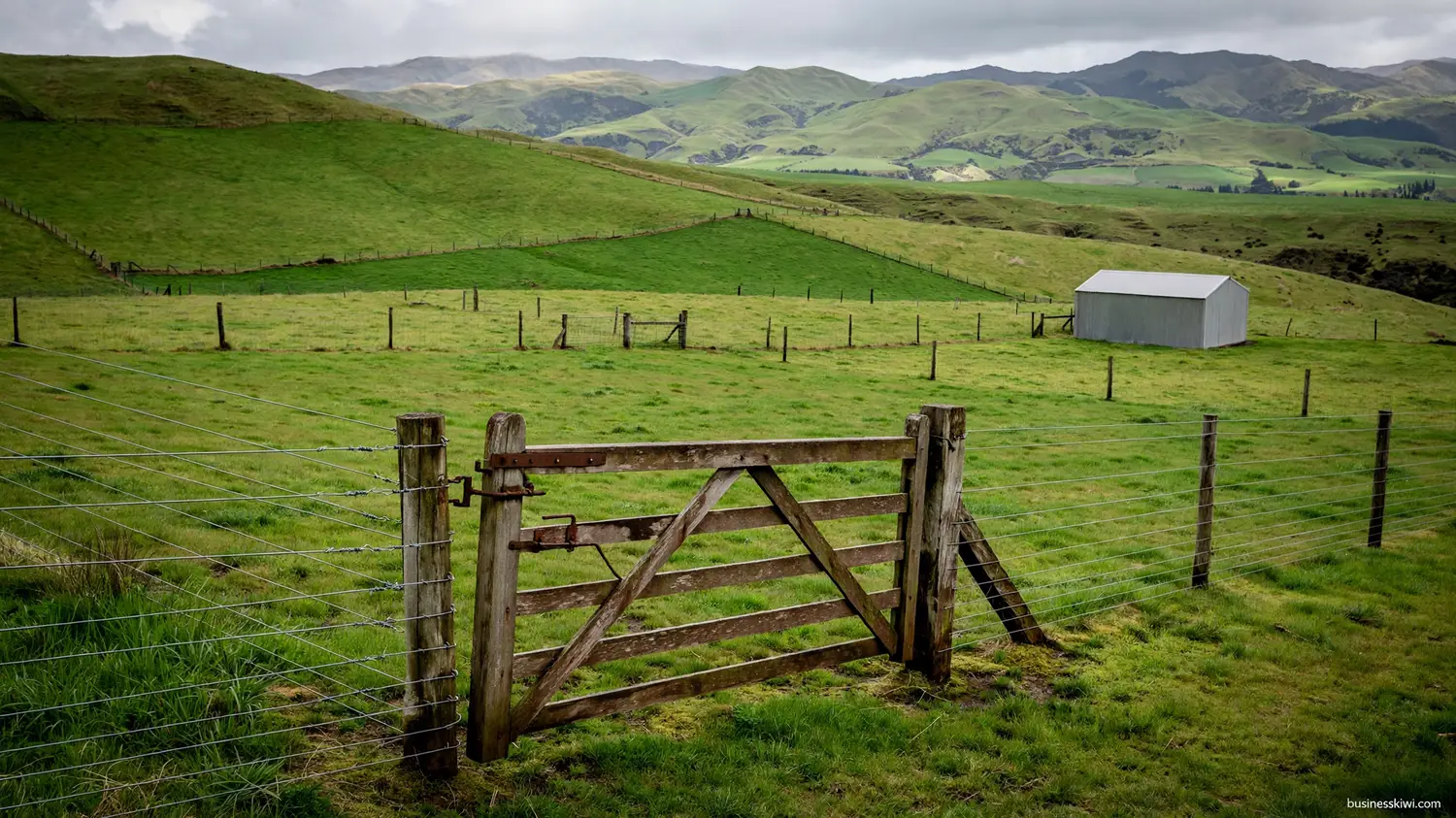 A New Zealand farm and paddocks